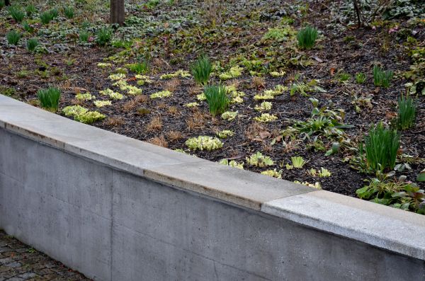 Concrete Wall Construction in Naperville