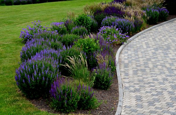 Sidewalk Curb Installation in Naperville