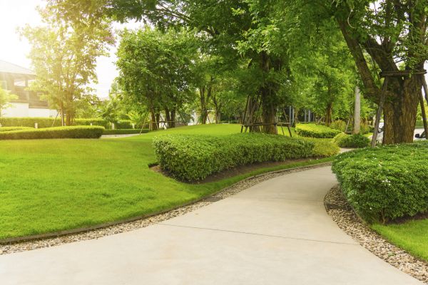 Walkway Concrete Installation in Naperville