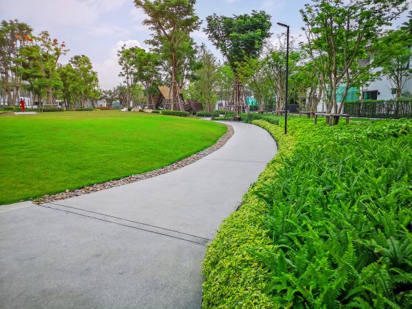 Cement Walkway Service in Naperville