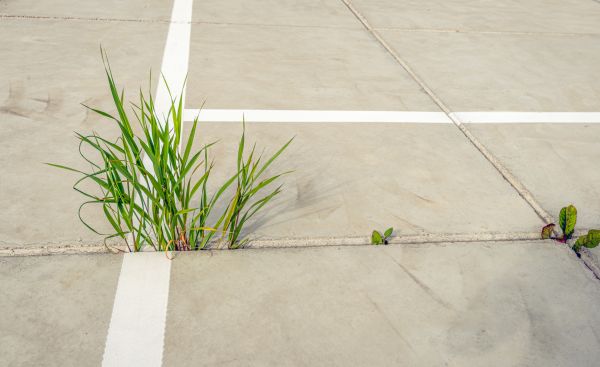 Concrete Parking Installation in Naperville