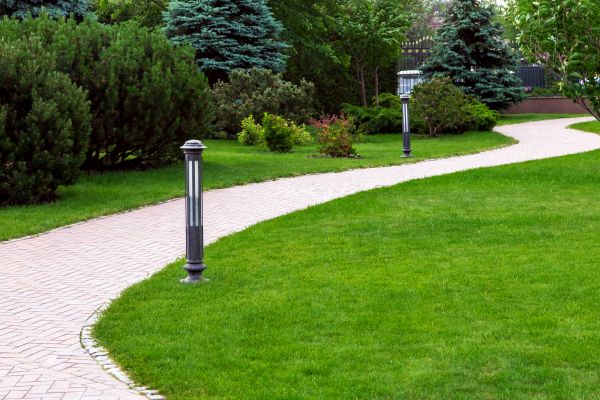 Backyard Sidewalk Installation in Naperville